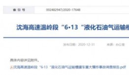 最新爆料热点事件新闻,真相与舆论的碰撞