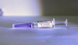 最新爆料新冠疫苗,突破性成果揭示免疫机制